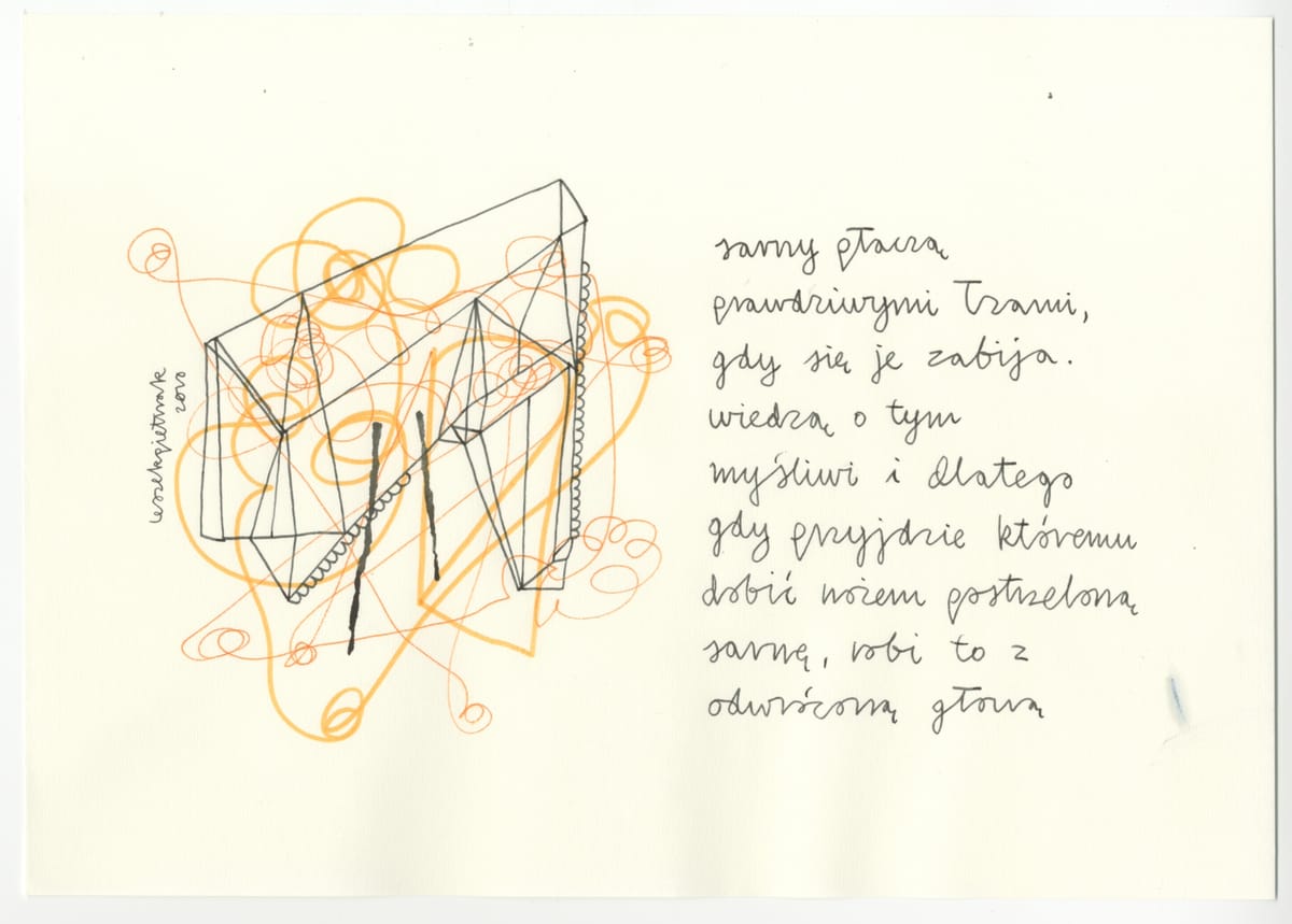 lzy-sarny-2010